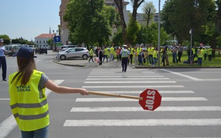 Siguranța Traficului Rutier