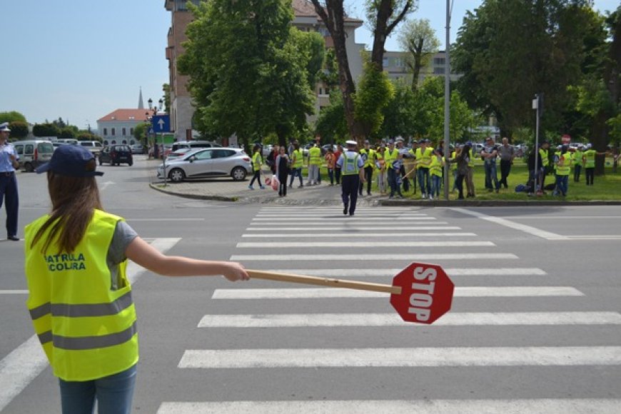 Siguranța Traficului Rutier